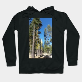 California Hoodie